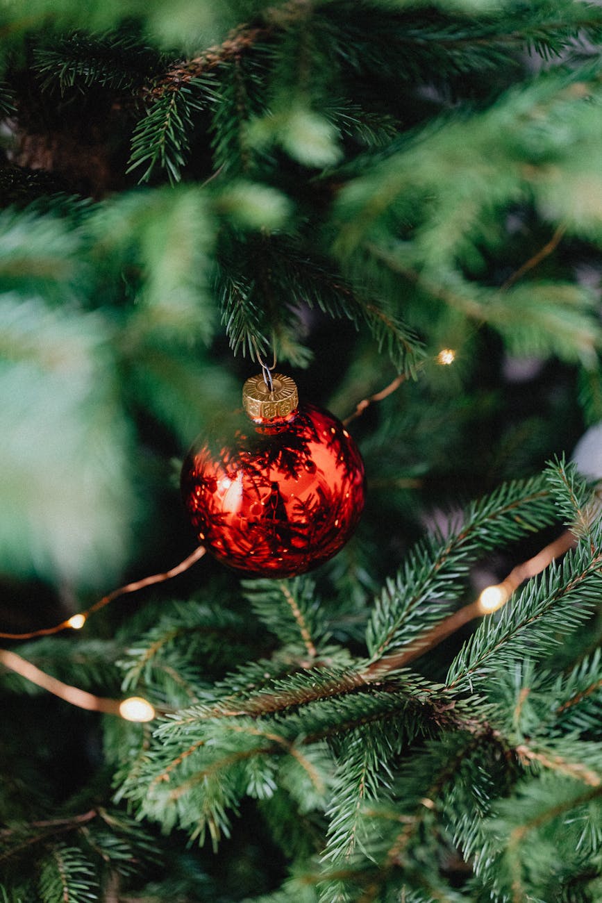 Transform Your Space with a Lively Tree Centerpiece
